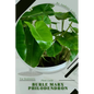 Burle Marx Philodendron: Plant Guide - Paperback