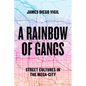 A Rainbow of Gangs: Street Cultures in the Mega-City - Paperback