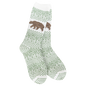 Nature Walk Crew - Forest Bear