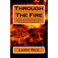 Through The Fire: How St. Louis Gentrifiers Tried To Destroy A Church Because of Its Homeless Congregation. - Paperback