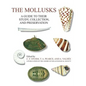 The Mollusks: A Guide to Their Study, Collection, and Preservation - Hardcover