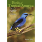 Birds of Tropical America: A Watcher's Introduction to Behavior, Breeding, and Diversity - Paperback
