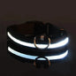 LED Dog Collars Light Adjustable Flashing Luminous Collar Night Anti-Lost