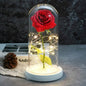 LED Glass Cover Simulation Foil Rose Flower