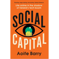 Social Capital: Life Online in the Shadow of Ireland's Tech Boom - Paperback
