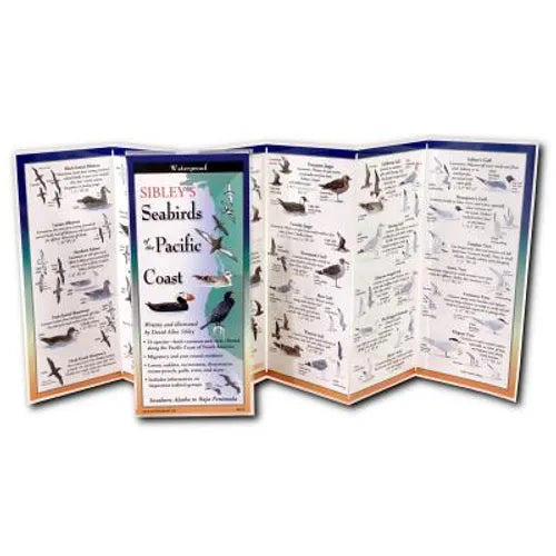 Sibley's Seabirds of the Pacific Coast