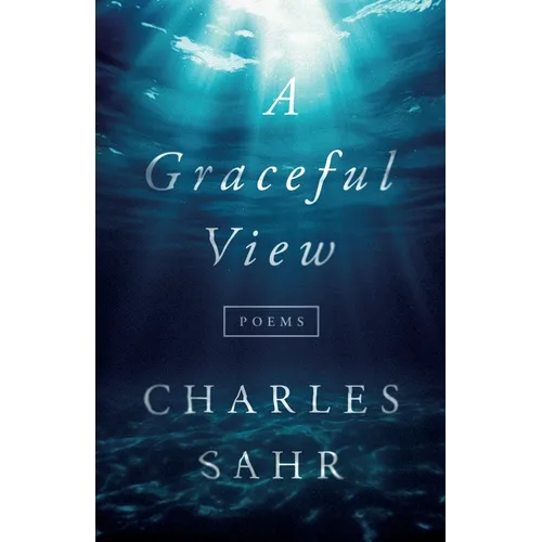 A Graceful View - Paperback