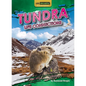 Tundra Life Connections - Paperback