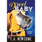 Drool Baby: A Dog Park Mystery - Paperback