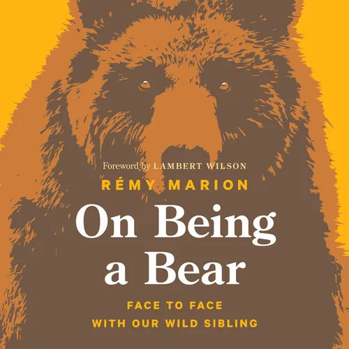 On Being a Bear: Face to Face with Our Wild Sibling - Hardcover