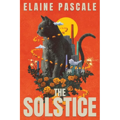 The Solstice - Paperback