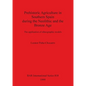 Prehistoric Agriculture in Southern Spain during the Neolithic and the Bronze Age: The application of ethnographic models - Paperback