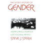The Secret History of Gender: Women, Men, and Power in Late Colonial Mexico - Paperback