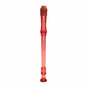 Learn To Play Recorder -