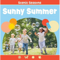 Sunny Summer - Board Book