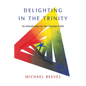 Delighting in the Trinity: An Introduction to the Christian Faith - Paperback