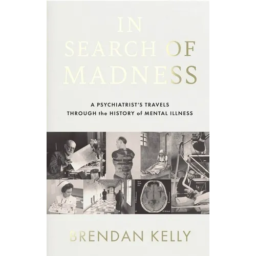 In Search of Madness: A Psychiatrist's Travels Through the History of Mental Illness - Paperback