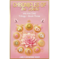 Chronicles of the Bride ( Part 3) - Paperback