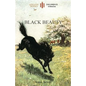 Black Beauty: Abridged for children and with 21 original illustrations by the author (Aziloth Books) - Paperback