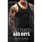 Get Inked Bad Boys: The Complete Romance Series - Paperback