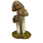 Mushroom Cluster