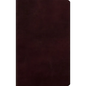 Large Print Personal Size Bible-ESV - Imitation Leather