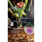 Welcome to Jessie's: A vampire, a ghost, and a fairy walk into a bar... - Paperback