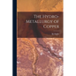 The Hydro-Metallurgy of Copper - Paperback