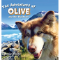 The Adventures of Olive And Her Big Heart: The Fire - Hardcover