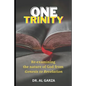 One Trinity: Re-examining the nature of God from Genesis to Revelation - Paperback