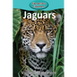 Jaguars - Paperback