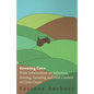 Growing Corn - With Information on Selection, Sowing, Growing and Pest Control of Corn Crops - Paperback