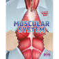 Muscular System - Paperback