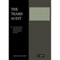 The Teams Audit - Paperback