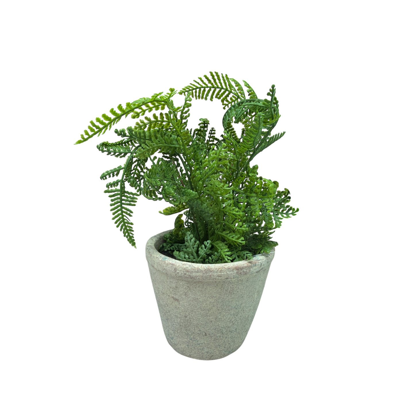 Faux  Boston Fern in Cement Pot
