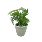 Faux  Boston Fern in Cement Pot