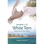 Hawai'i's White Tern: Manu-O-Kū, an Urban Seabird - Paperback