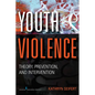 Youth Violence: Theory, Prevention, and Intervention - Paperback