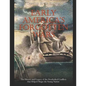 Early America's Forgotten Wars: The History and Legacy of the Overlooked Conflicts that Helped Shape the Young Nation - Paperback