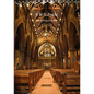 A.W.N. Pugin - Paperback