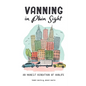 Vanning in Plain Sight: An Honest Rendition of Vanlife - Paperback
