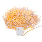 1000-Light Classic White LED Clear Wire Cluster Garland