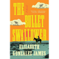 The Bullet Swallower - Paperback