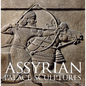Assyrian Palace Sculptures - Hardcover