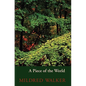 A Piece of the World - Paperback