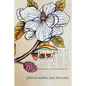 Plant Songs: Reflections on Herbal Medicine - Paperback