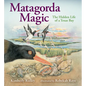 Matagorda Magic: The Hidden Life of a Texas Bay - Hardcover