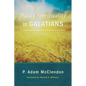 Paul's Spirituality in Galatians: A Critique of Contemporary Christian Spiritualities - Paperback