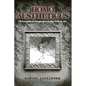 Homo Aestheticus: Philosophical Fragments on the Will to Art - Paperback