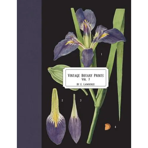 Vintage Botany Prints: Vol.7 - Paperback